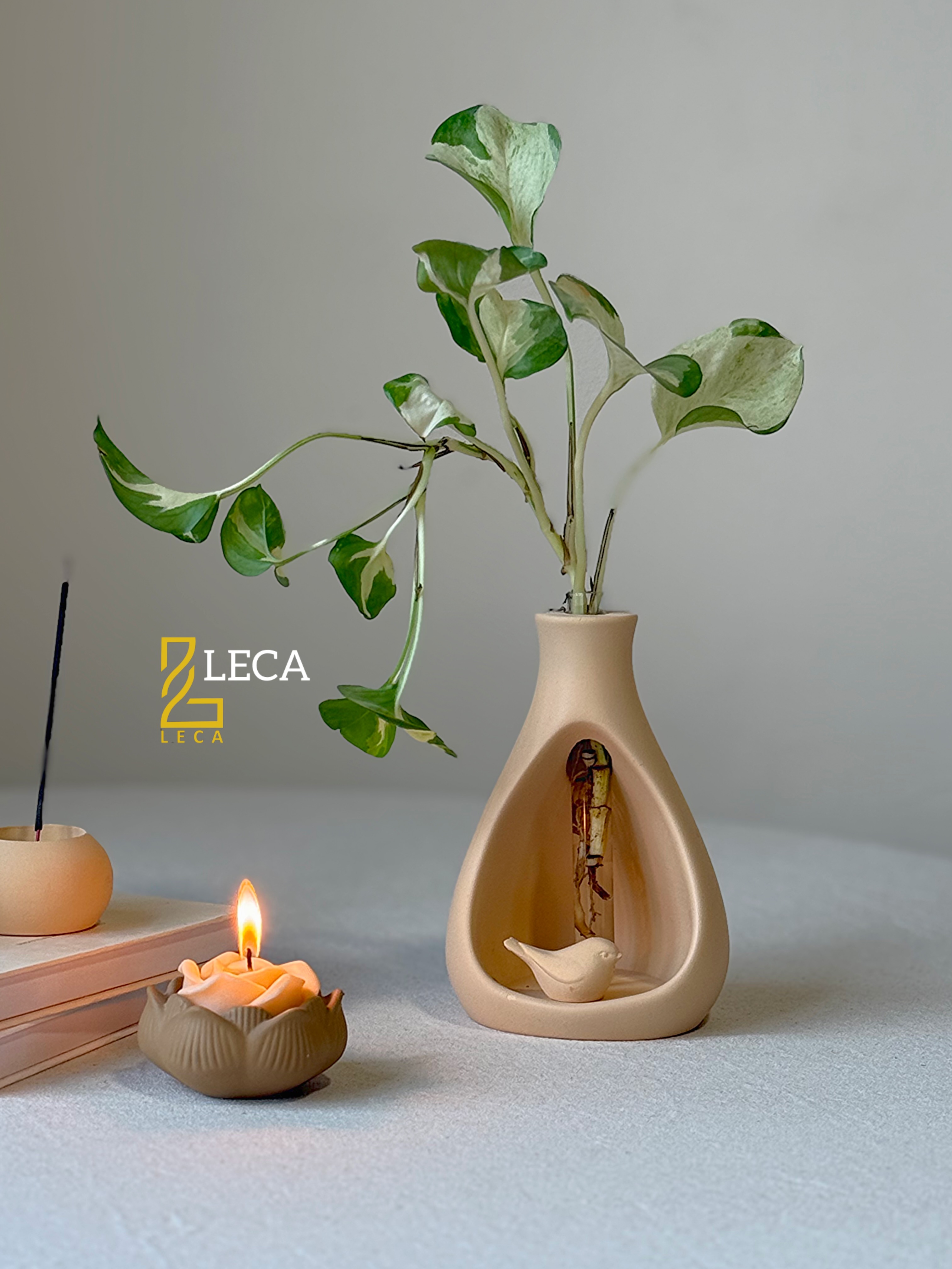گلجای آشیان/ LECA